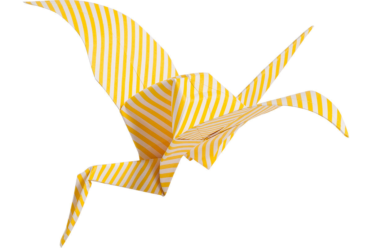 Faltblätter - Basic Intensiv Folia, Max Bringmann KG, Johann-Höllfritsch-Str. 37, 90530 Wendelstein, E-Mail: info@folia.de