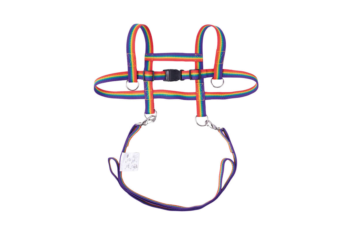 Zügelmatz Laufleine Regenbogen