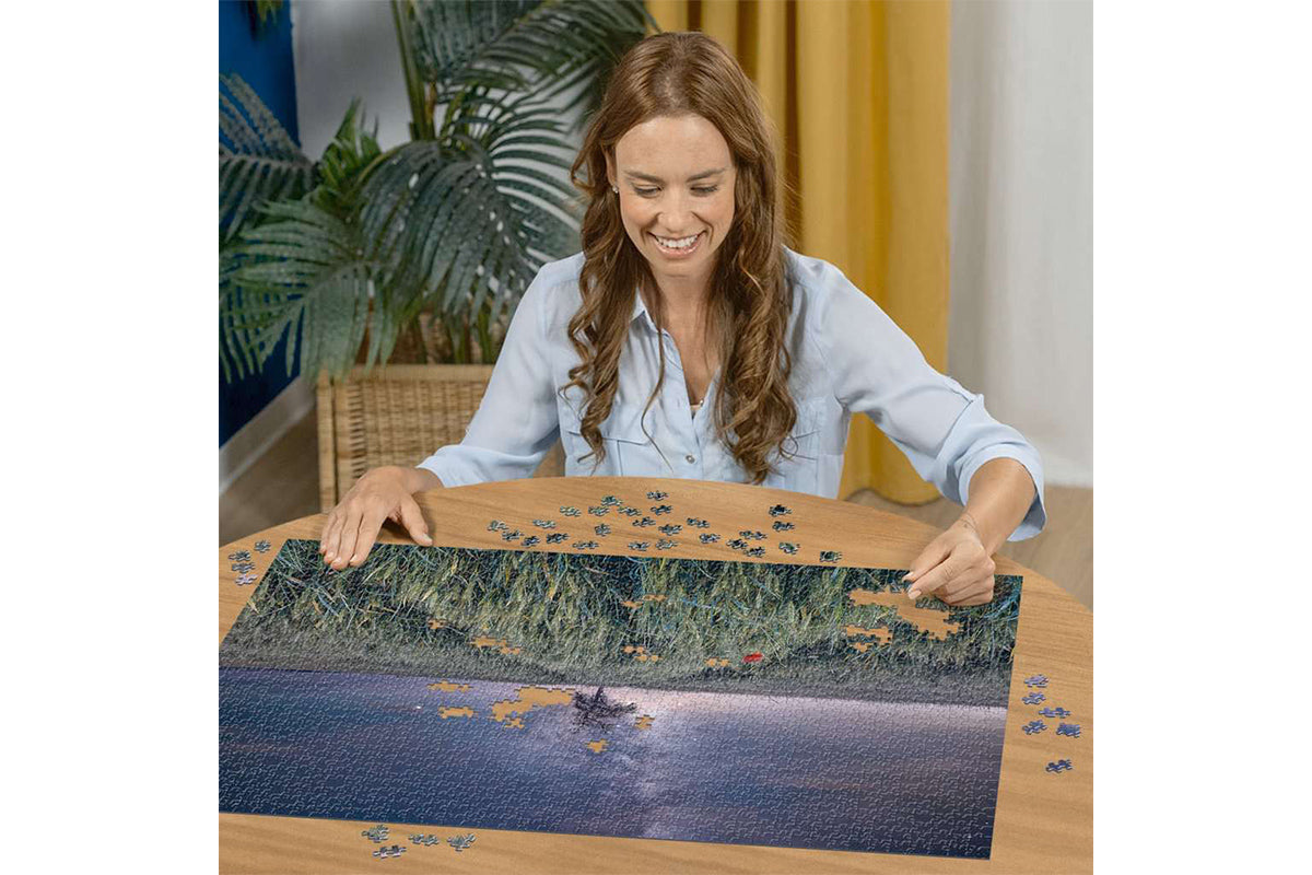 Puzzle - Night sky over the cornfield