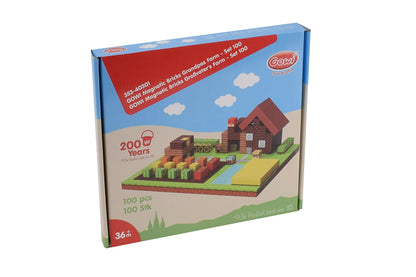 GOWI Magnetic Bricks