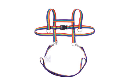 Zügelmatz Laufleine Regenbogen