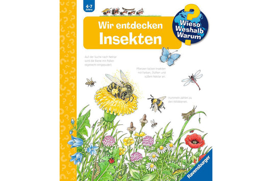 WWW - Wir entdecken Insekten - CHiLA ...einfach gutes Spielzeug!