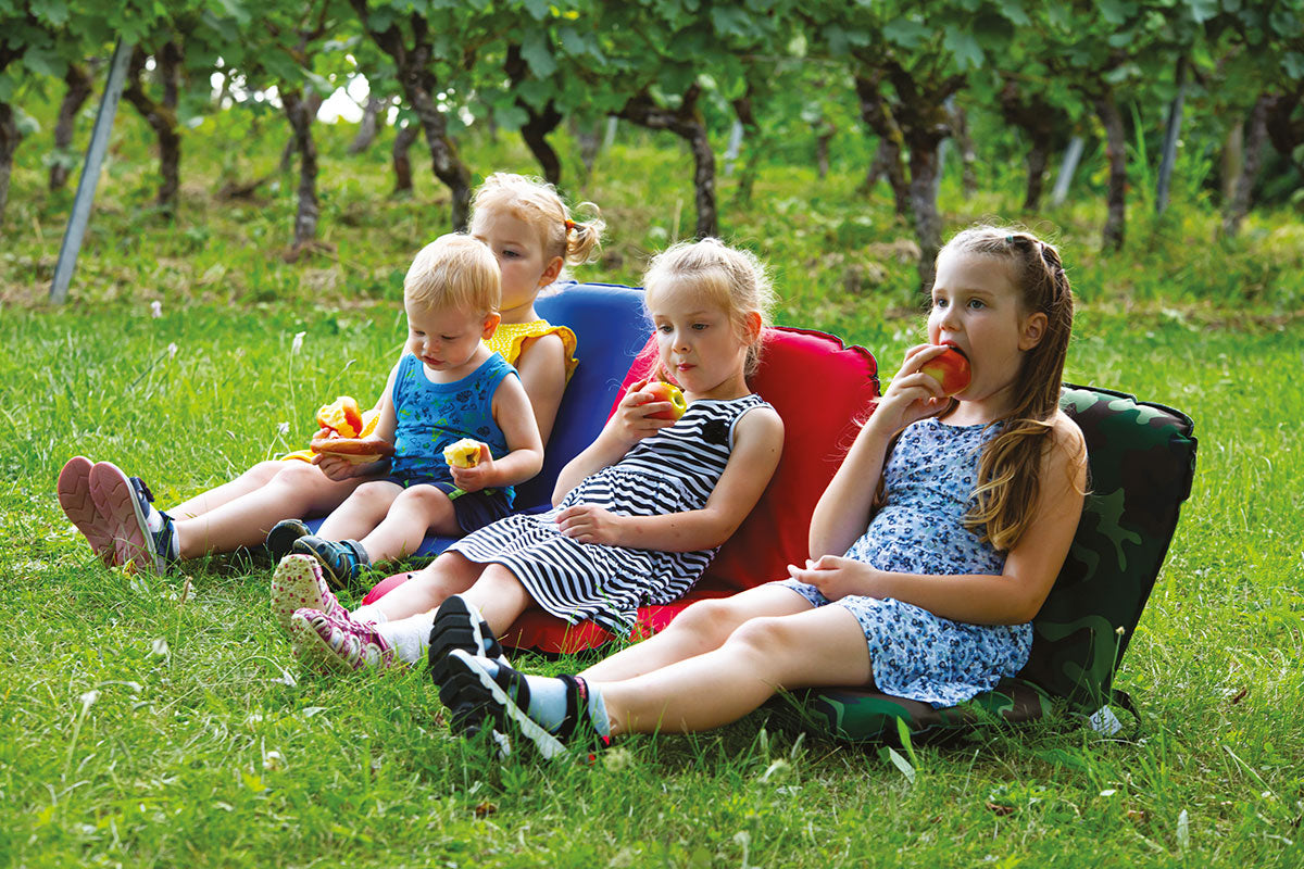 GOWI - Enjoy Seat - Rot GOWI® GOWI GmbH, Wertheimweg 12, 8630 Mariazell, Österreich; office@gowi.at