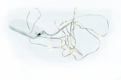 LED Lichterkette 1 m